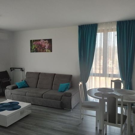 Apartament 2 Camere Lucian Băile Felix エクステリア 写真