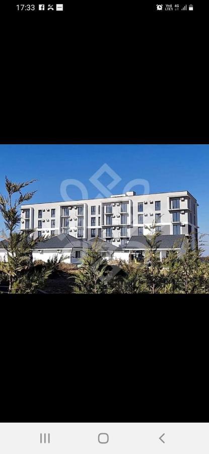 Apartament 2 Camere Lucian Băile Felix エクステリア 写真