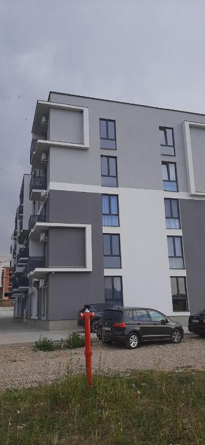 Apartament 2 Camere Lucian Băile Felix エクステリア 写真