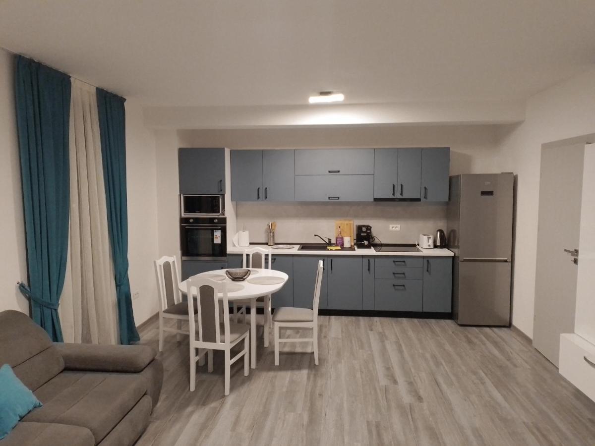 Apartament 2 Camere Lucian Băile Felix エクステリア 写真